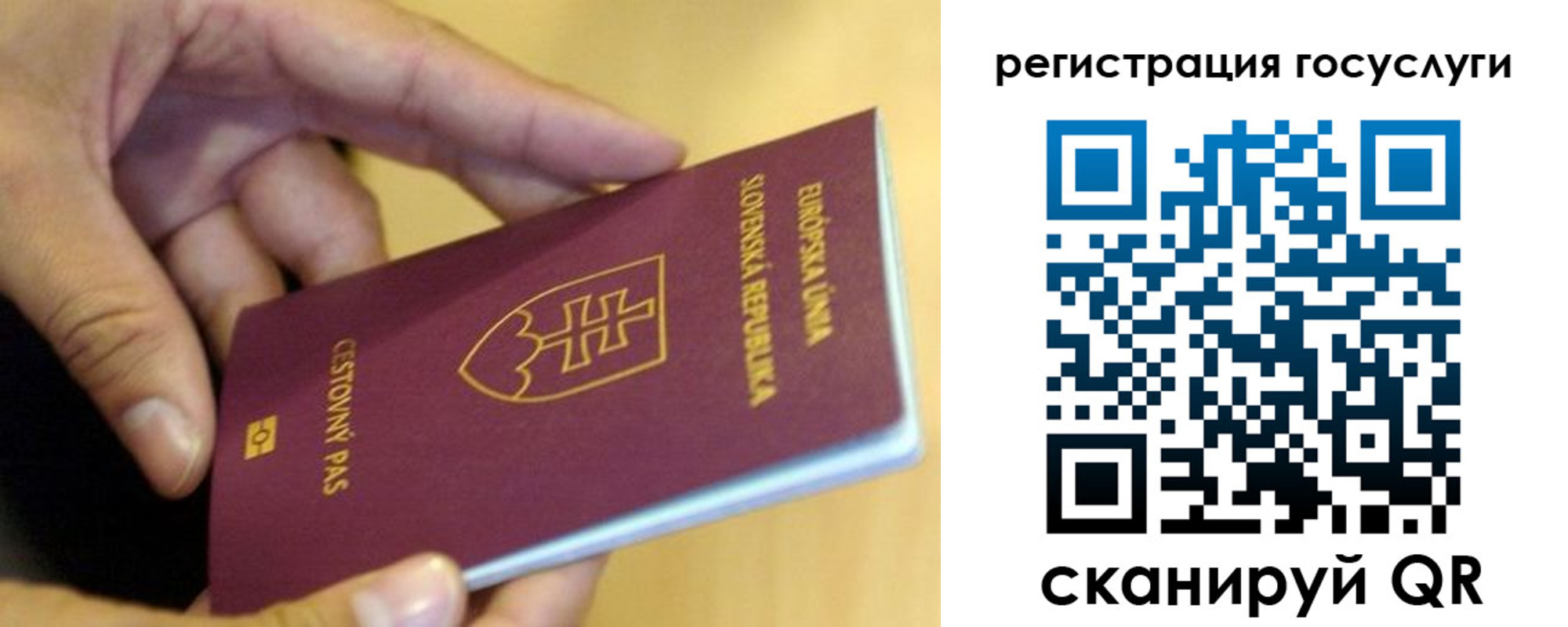 прописка в квартире в Богородицке